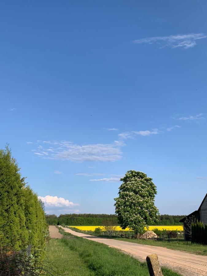 Siedlisko Glinnik Buitenkant foto